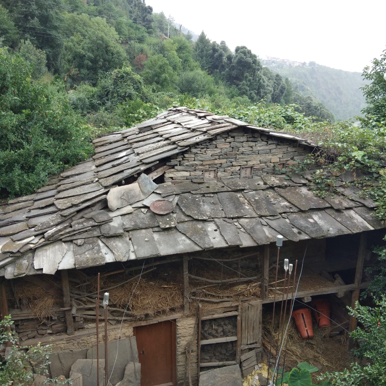 Traditional Roof House